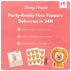 Lion 1st Birthday
